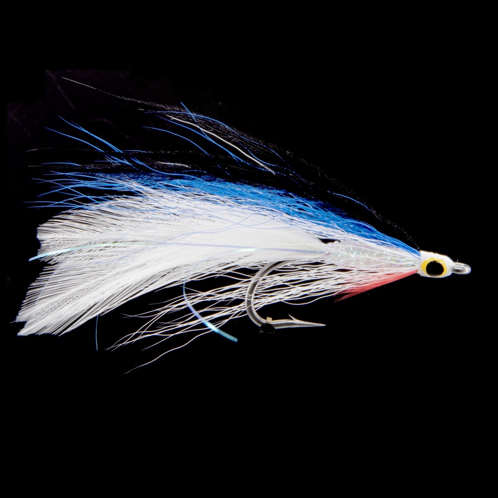 The Essential Fly Saltwater Baitfish Fishing Fly